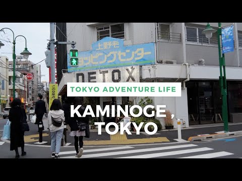 Walking Around Tokyo (Kaminoge) 上野毛