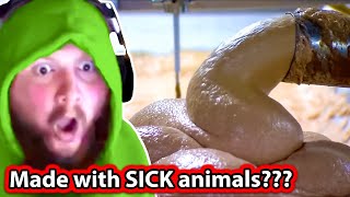 Caseoh Reacts to How Food Is Made – Hot Dogs, Bubblegum, Ice Cream, Hot Sauce