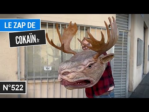 Le Zap de Cokaïn.fr n°522