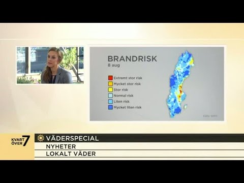 Dagens väder i området kring storbranden  - Nyhetsmorgon (TV4)