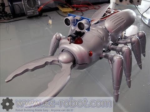 DJ's Scarab Creepy Robot