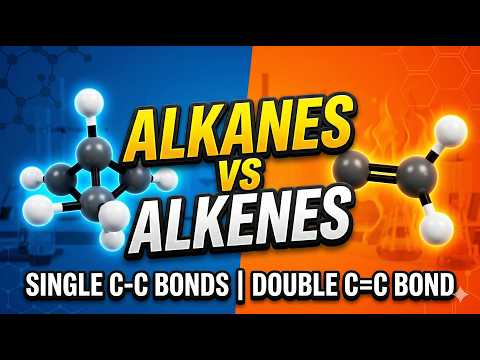 Alkanes and Alkenes: Hydrocarbon Differences