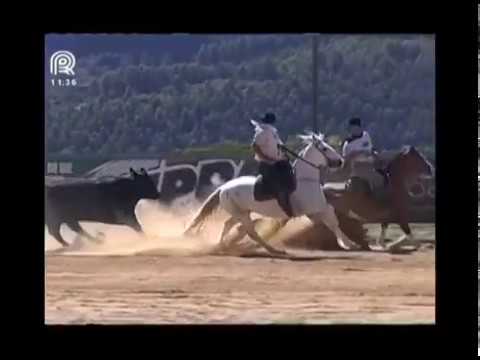 Aberta de Itu – 2° lugar fêmeas – Bianca dos Castanheiros