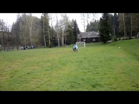 CHARLIE z údolí Úpy - 20 months