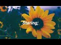 Staring–Tipling Rock (Letra/Lyrics)