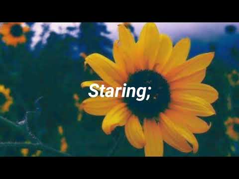 Staring–Tipling Rock (Letra/Lyrics)