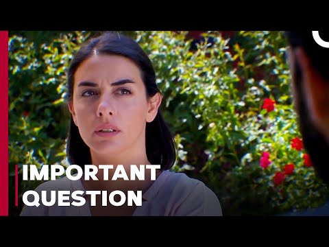 What Will Hediye Do Now? - Can't Stop Loving You