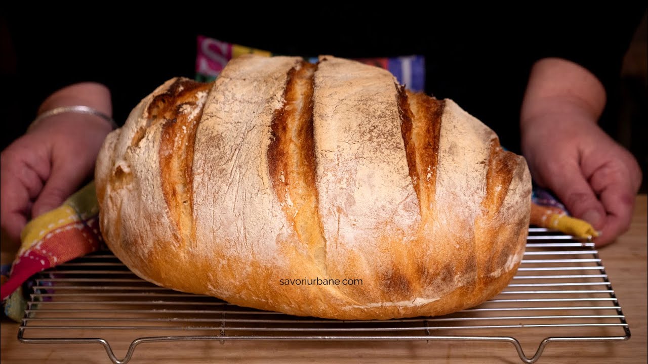 No-knead bread - mix the dough for 30 seconds with a spoon! Quick recipe CC SUB | Savori Urbane