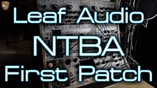 Video thumbnail for Leaf Audio - NTBA *First Patch* by DivKid