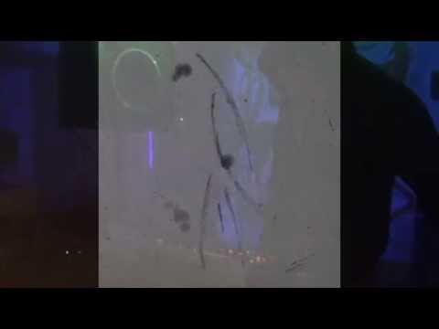 Toma Aunina @ Brinumu Nakts 5