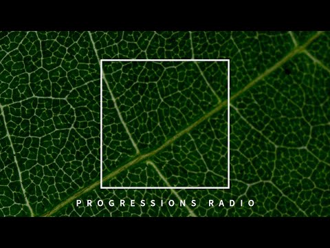 Andromedha - Progressions Radio 114 | Progressive House | Melodic Techno | Trance | Deep House Mix ????