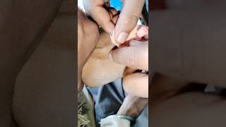 pharma.. motivated.. video.. part 1151 #shorts #doctor #viral