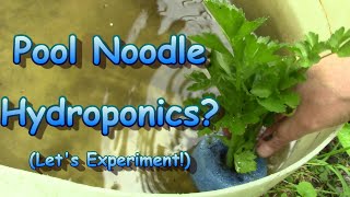 PoolNoodle Hydroponics? Let