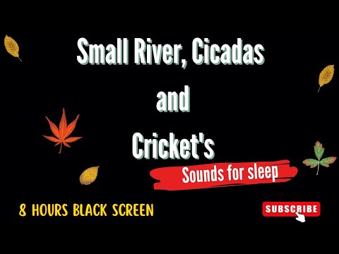 Sounds of Light River In Forest at Night - Cicadas, Crickets, 8 Hours Blackscreen