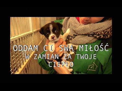 Maść farmaceutyczna do kości na palucha Kości na zewnętrznej stronie stopy dziecka