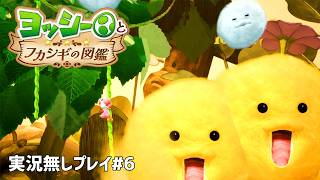 【実況無しVer.】ヨッシーとフカシギの図鑑#6（Nintendo Switch2）～Dr.ねこじゃらしのノンレトロゲームの丸かじり～【24口目】
