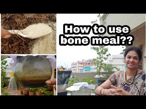What are the uses of bone meal?