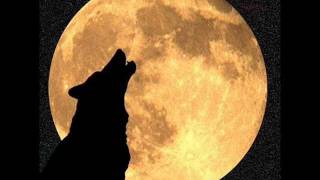 Howlin' Wolf - Just My Kind