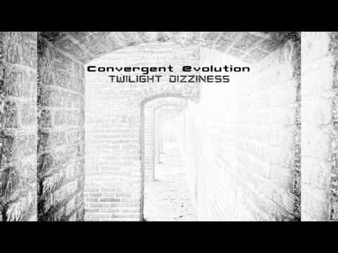 Convergent Evolution - Alien Hangar - Psypheric, Phantom Sentinel Remix (goaLP033 - Goa Records)