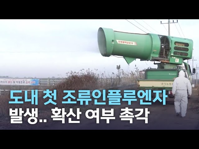 부안 고병원성 조류인플루엔자 발생