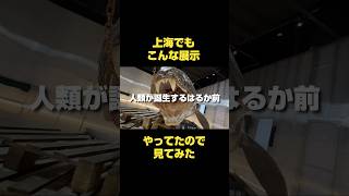 中国•上海でこんな特別展が!古代生命と深海の世界へようこそ