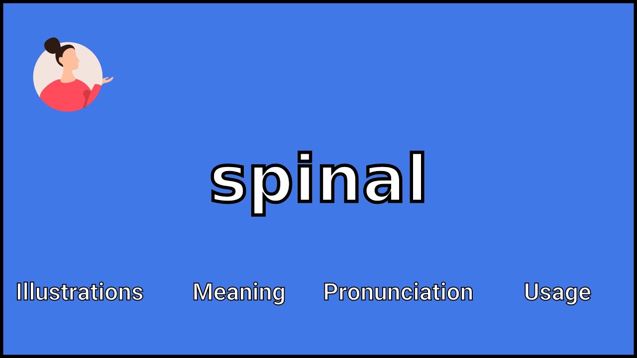 SPINAL - Meaning and Pronunciation