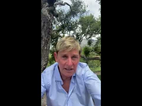 I Stand with Black Lives Matter