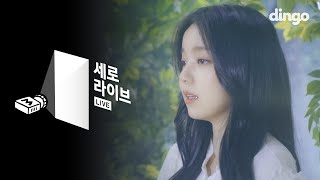 [세로라이브] 로시(Rothy) - 술래
