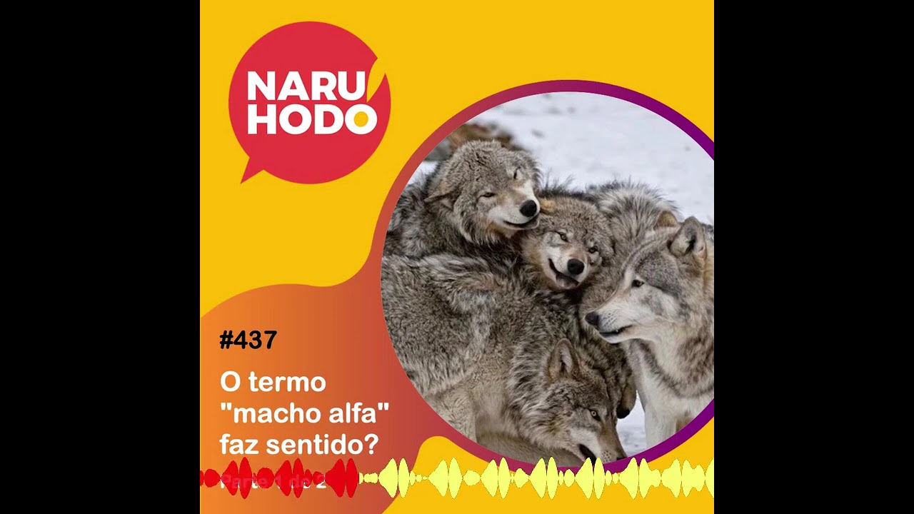 Naruhodo #437 - O termo "macho alfa" faz sentido? - Parte 1 de 2