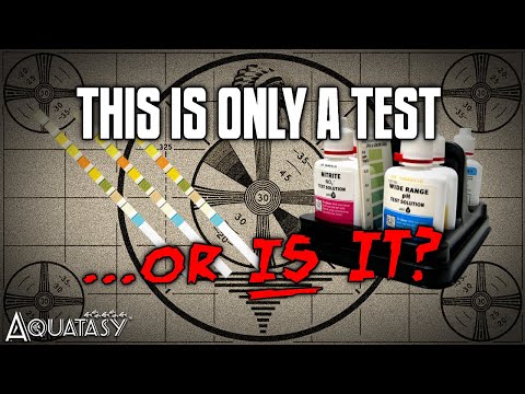 Aquatasy - This is Only a Test...Or is It? A Cautionary Tale About Aquarium Water Tests