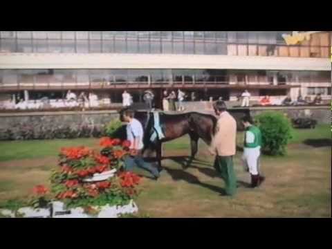 Nagroda Oaks - 30.07.1995 - Becky Princess (Prince Sabo - Becky Sharp)