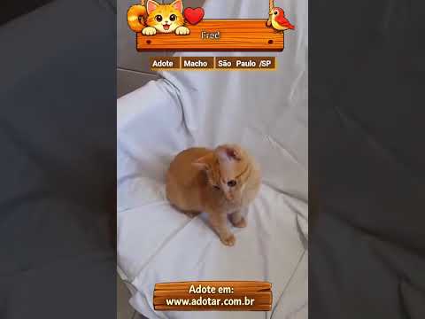 Vídeo de Fred