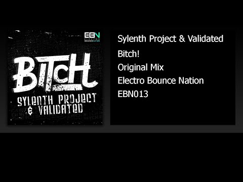 Sylenth Project & Validated - B!tch! (Audio)