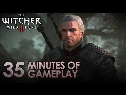 the witcher pc demo