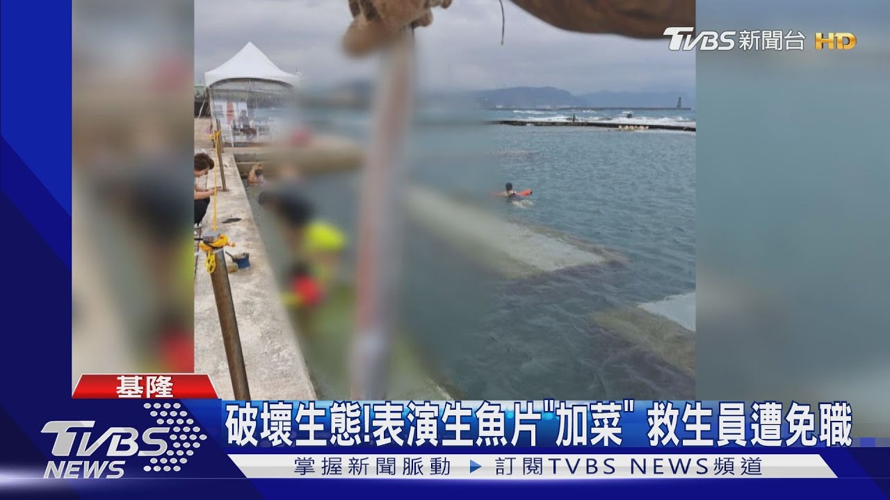 破壞生態！表演生魚片「加菜」　救生員遭免職