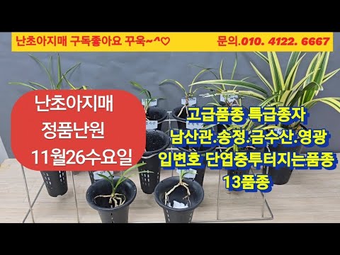 유튜브 썸네일
