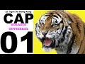 Kaliman El Tigre De Hong Kong Capitulo 1