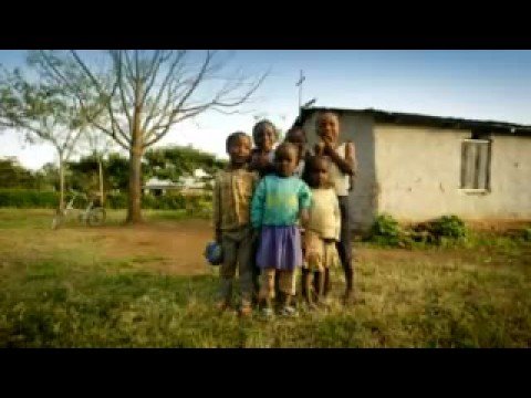 The Story of a Bednet