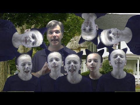 Adoption Gone Mad in the Here Kitty Kitty! Board Game Review