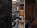 Horse Ass