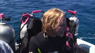 Bahamas - First Time Shark Dive