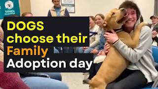 We Let Shelter Dogs Pick Their Families And THIS Happened 💔 Adoption Day