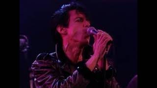 Iggy Pop - Some Weird Sin - 11/14/1986 - Ritz