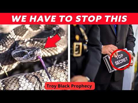 God Showed Me How to Stop the Devil's Strategy   Prophecy _  Troy Black