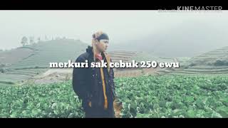 Download lagu Status wa ceramah lucu mp3