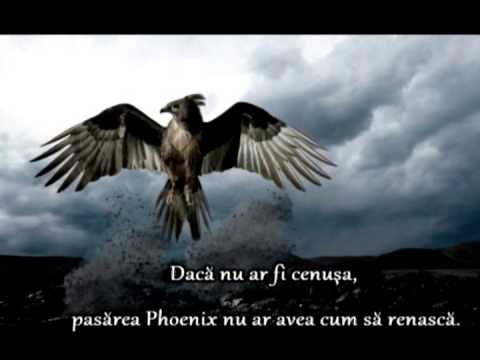 Viaţa, un contrast între alb şi negru