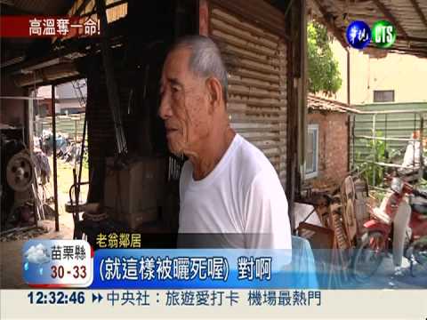 老農熱昏沒人知 曝曬起泡脫水死