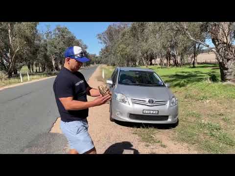 Wagga Wagga NSW to Melbourne VIC