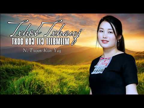 Txhob Txhawj Txog Koj Tej Teebmeem ( N. Txoov Kav Yaj) channel