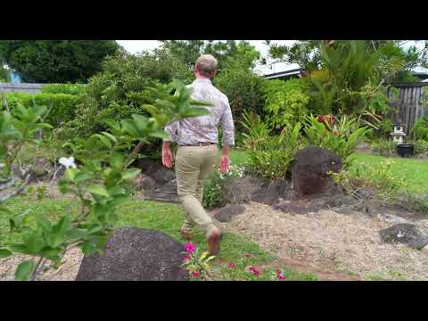 29 Karwin Street, Bayview Heights, QLD 4868, 3 slaapkamers, 1 badkamers, House